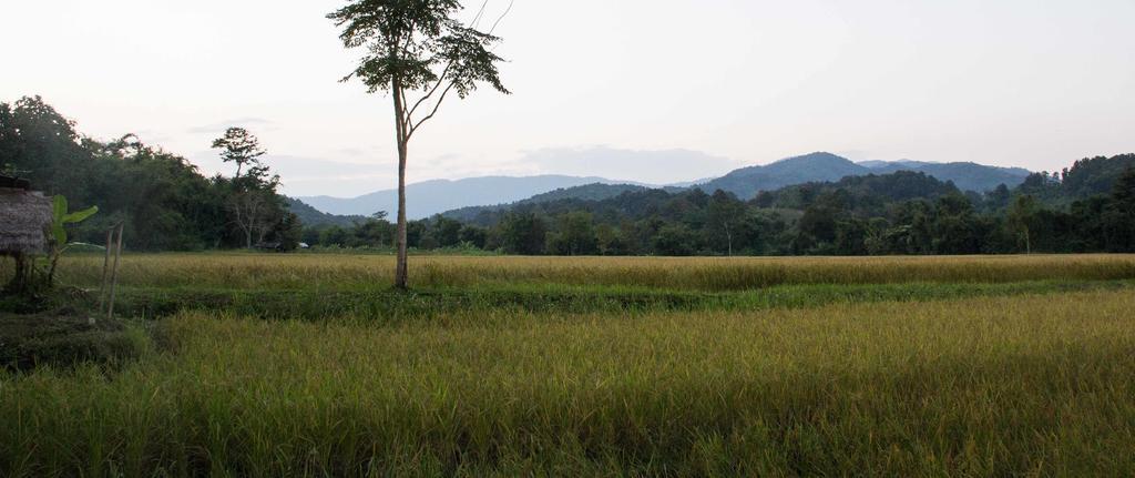 Bambuh Boutique Homestay Chiang Rai Exteriör bild